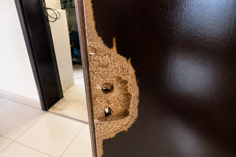 Wooden Door Repairs